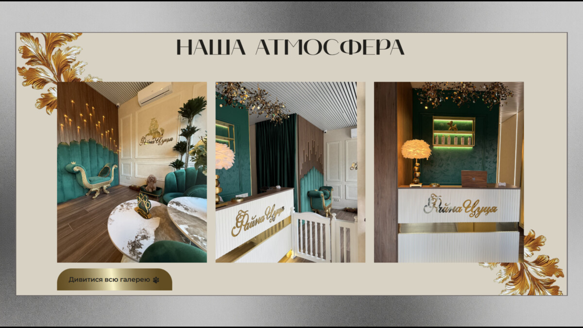 Блок «Наша атмосфера» сайту «Файна Цуця» з фото інтер'єру салону